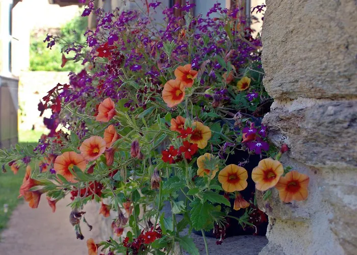 Real El Sendero Del Agua (adults Only) 호텔 Trefacio